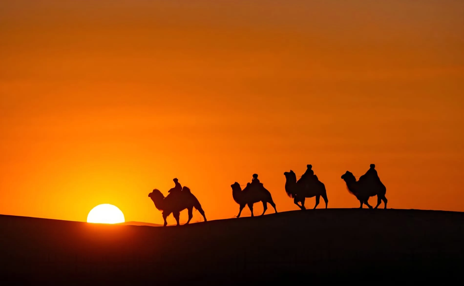 retraites mongolie juillet 2026 coucher de soleil chameaux 01