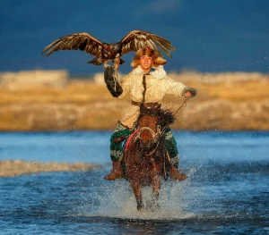 retraites mongolie juillet 2026 mongol cheval avec aigle