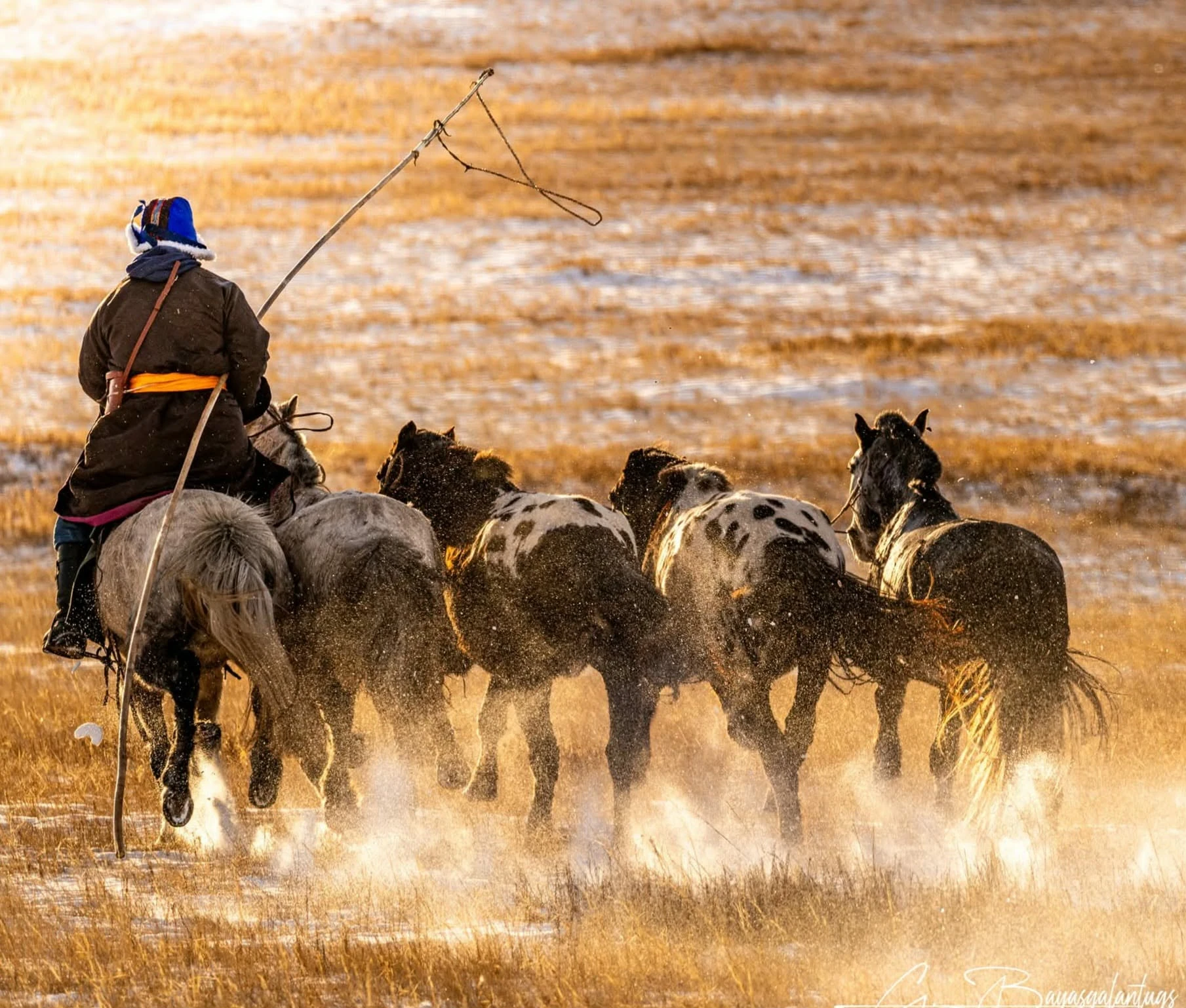 retraites mongolie juillet 2026 mongol menant des chevaux