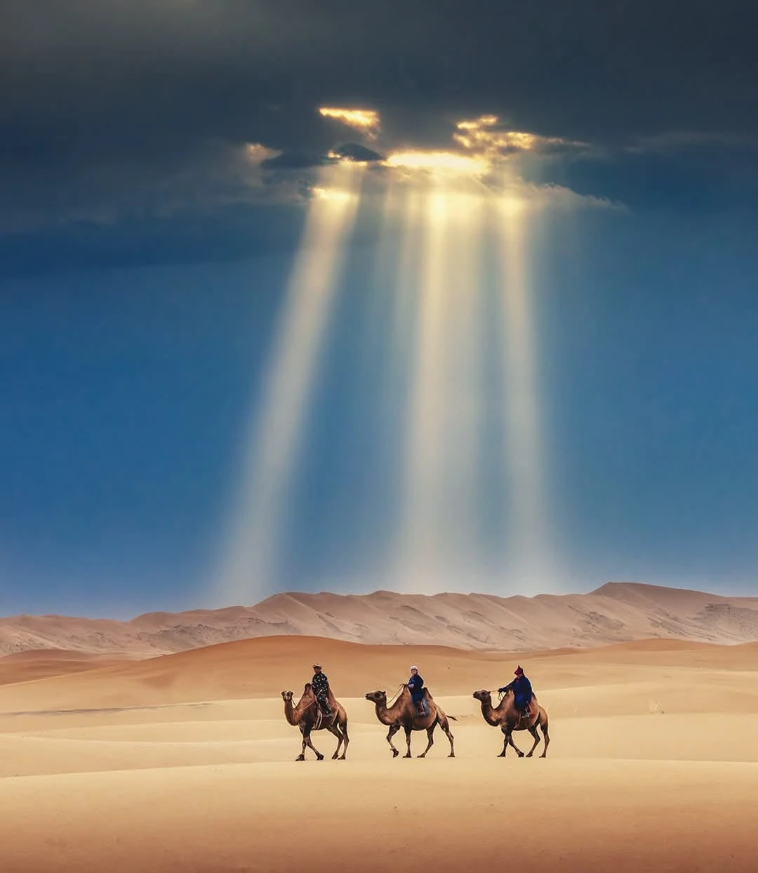 retraites mongolie juillet 2026 percee de soleil sur chameaux